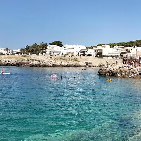 Nel Verde Nardo